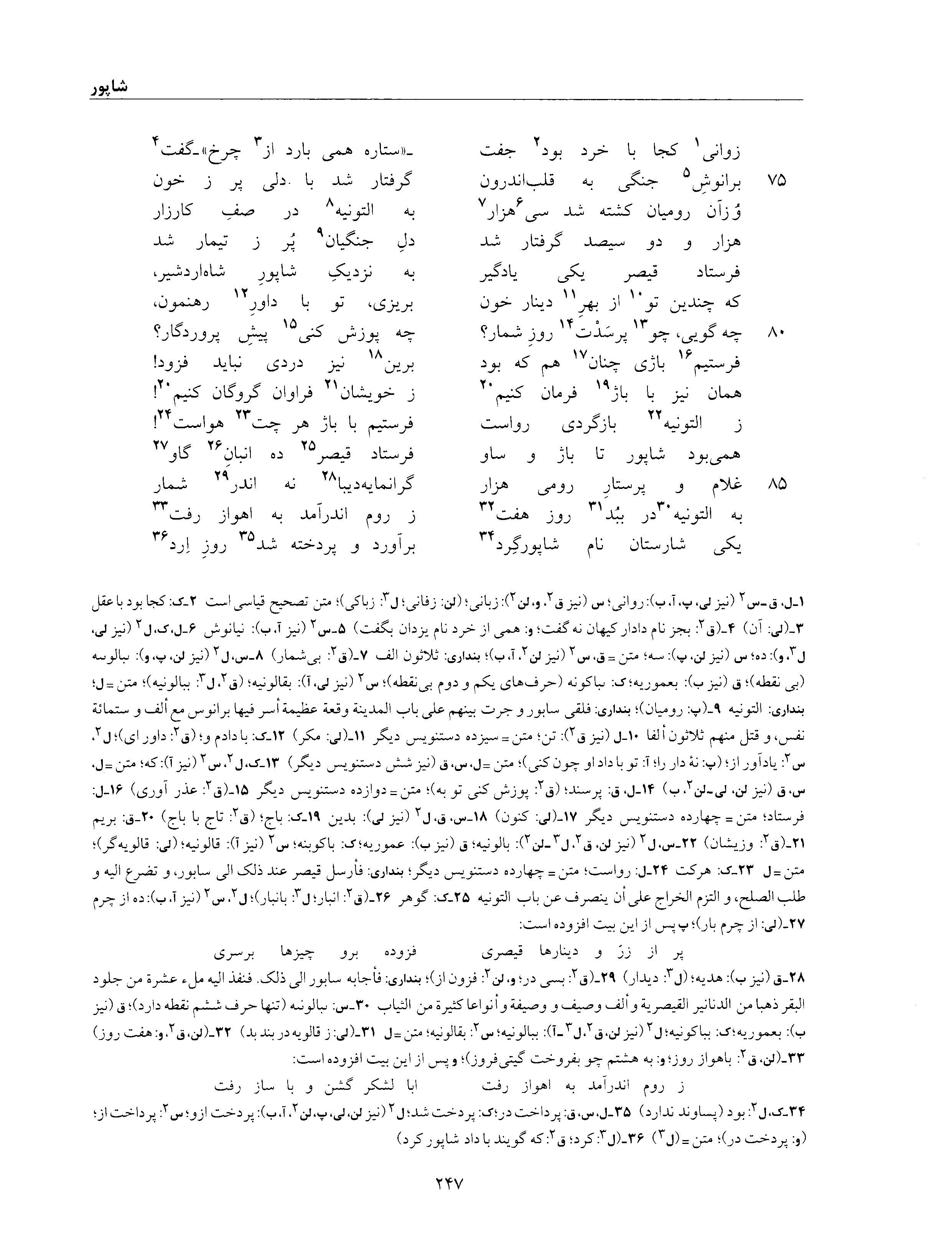 vol. 6, p. 247